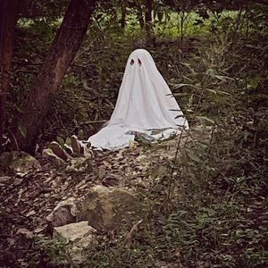 Meet your Posher, Ava